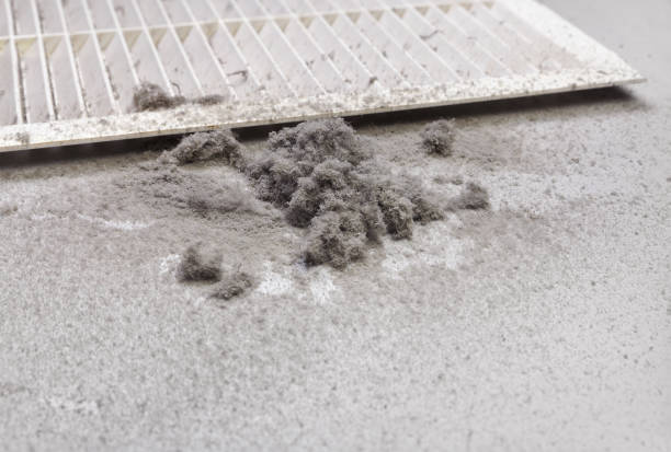 Best HVAC Air Duct Cleaning  in French Valley, CA