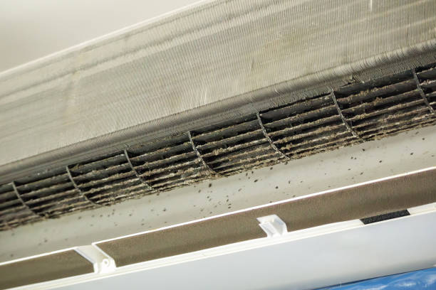 Best Air Vent Cleaning Services  in French Valley, CA