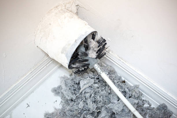 Best Local Air Duct Cleaning Services  in French Valley, CA