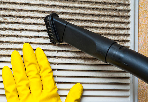 Best Air Vent Cleaning Services  in French Valley, CA